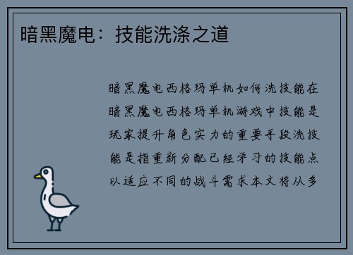 暗黑魔电：技能洗涤之道